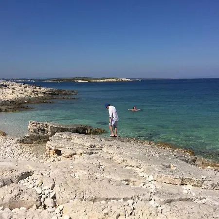 Tiego מדולין